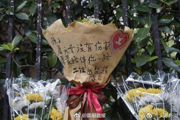 记者：马竞曾报价维加&切尔西态度强硬，马竞转而签下汉茨科